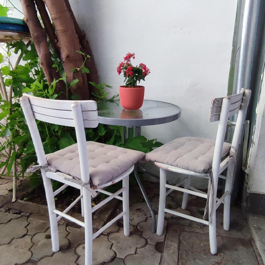 Centar Novi Sad-Apartman No 3 מראה חיצוני תמונה