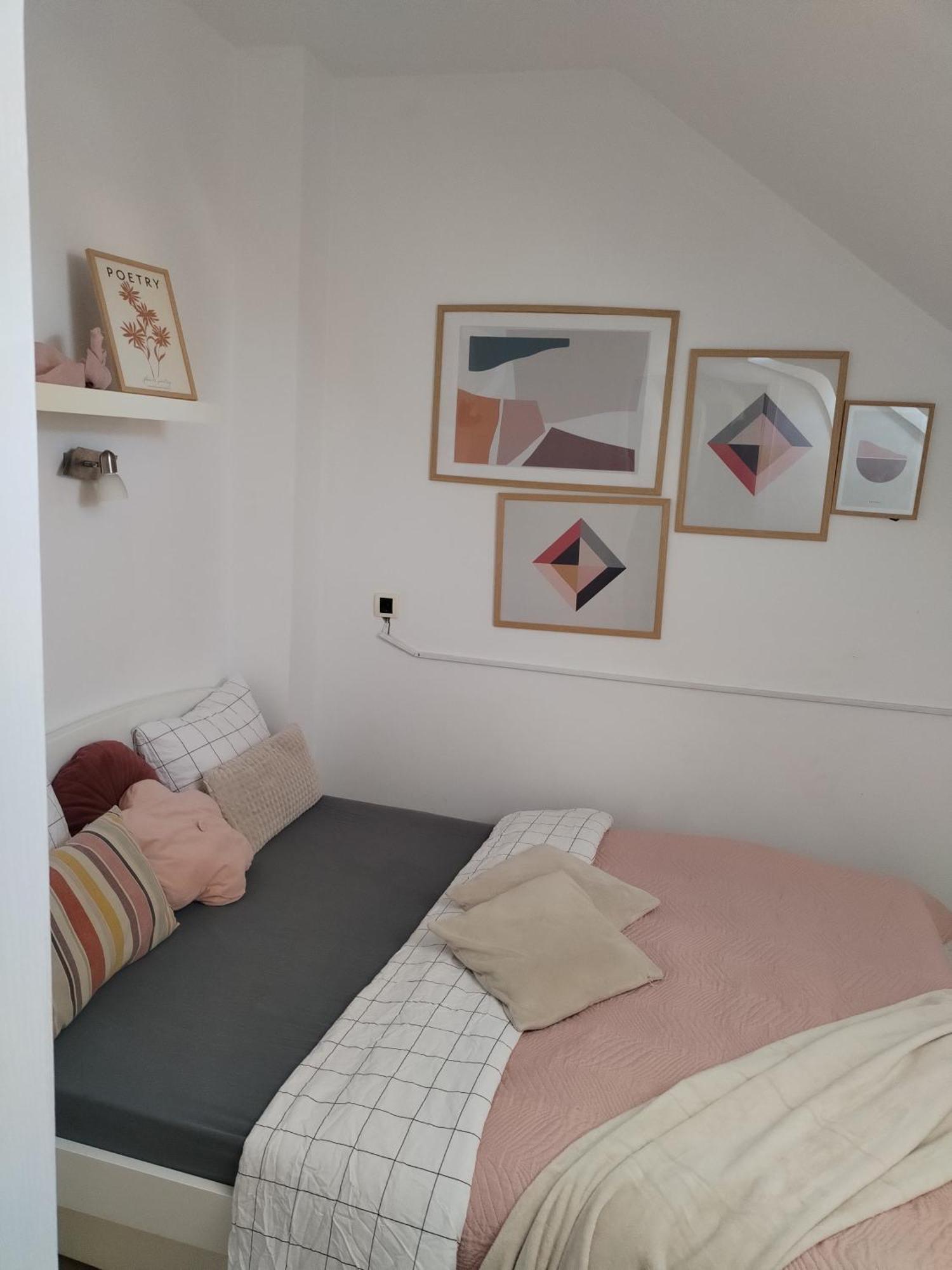 Centar Novi Sad-Apartman No 3 מראה חיצוני תמונה