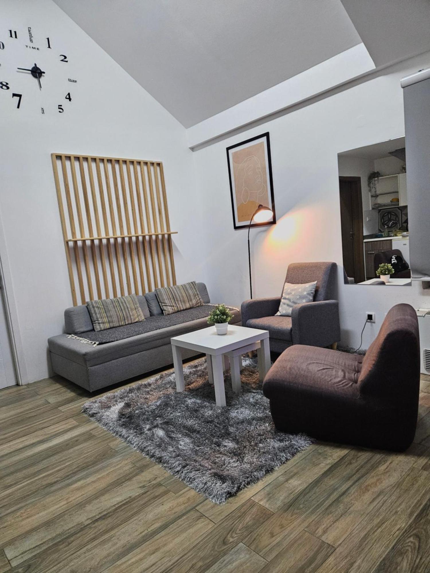 Centar Novi Sad-Apartman No 3 מראה חיצוני תמונה
